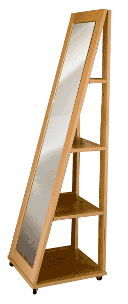 Rolling Mirror Bookcase