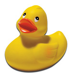 Rubber Duckie
